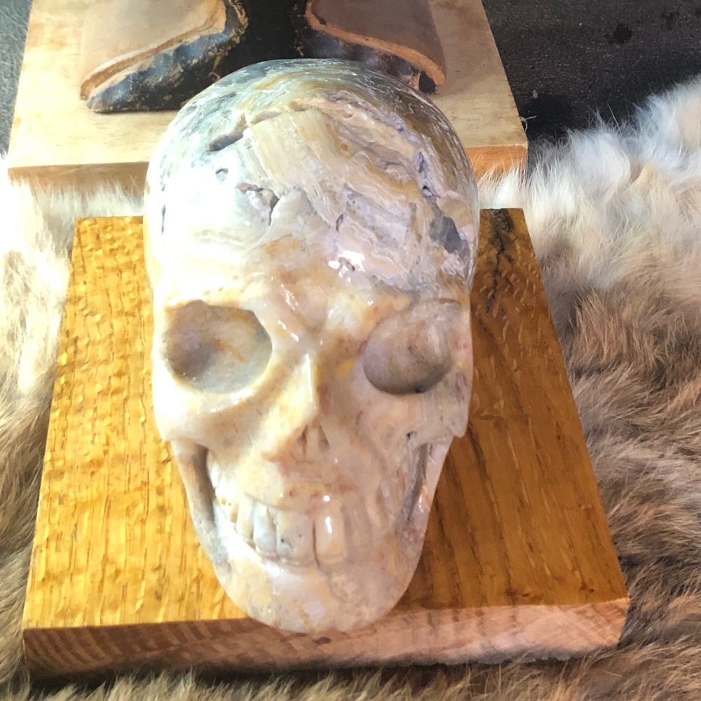 CRAZY LACE SKULL